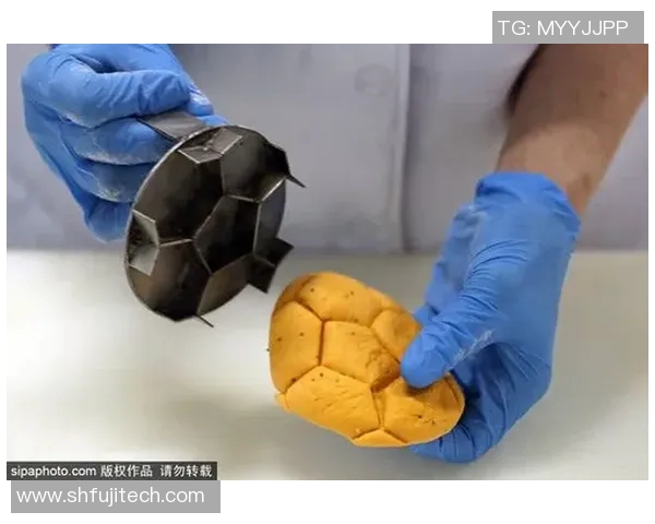 每位足球明星的美食偏好揭秘你知道他们最爱吃什么吗