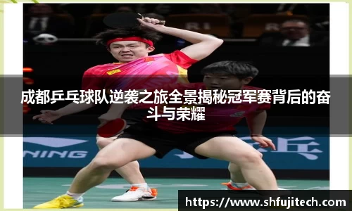 成都乒乓球队逆袭之旅全景揭秘冠军赛背后的奋斗与荣耀